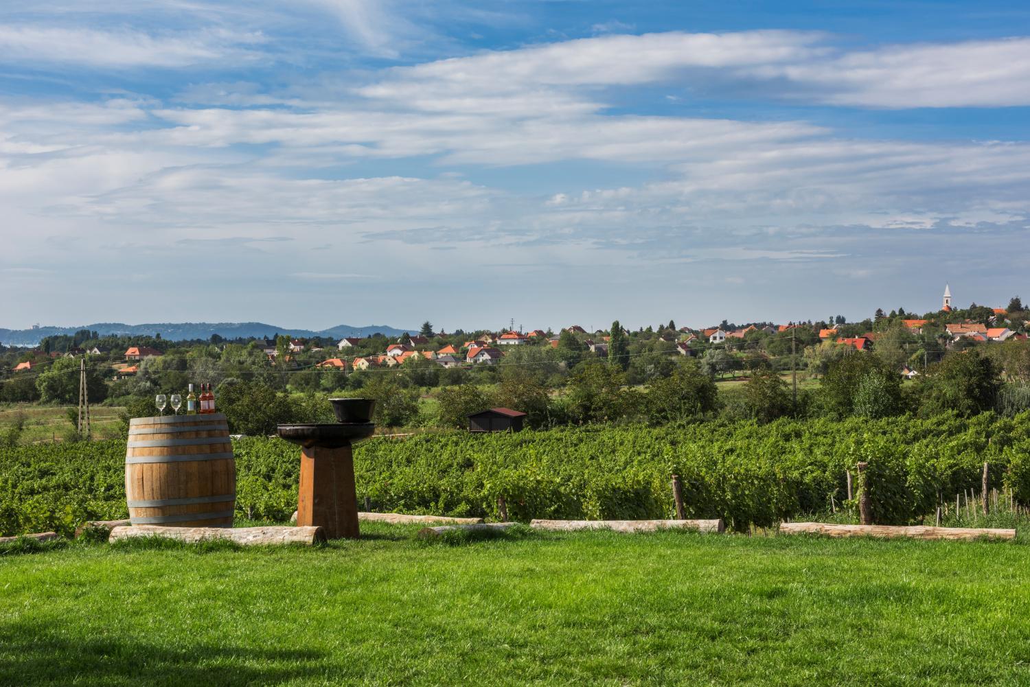 Winery Hotel - PALO Borbirtok - Bed and Wine3