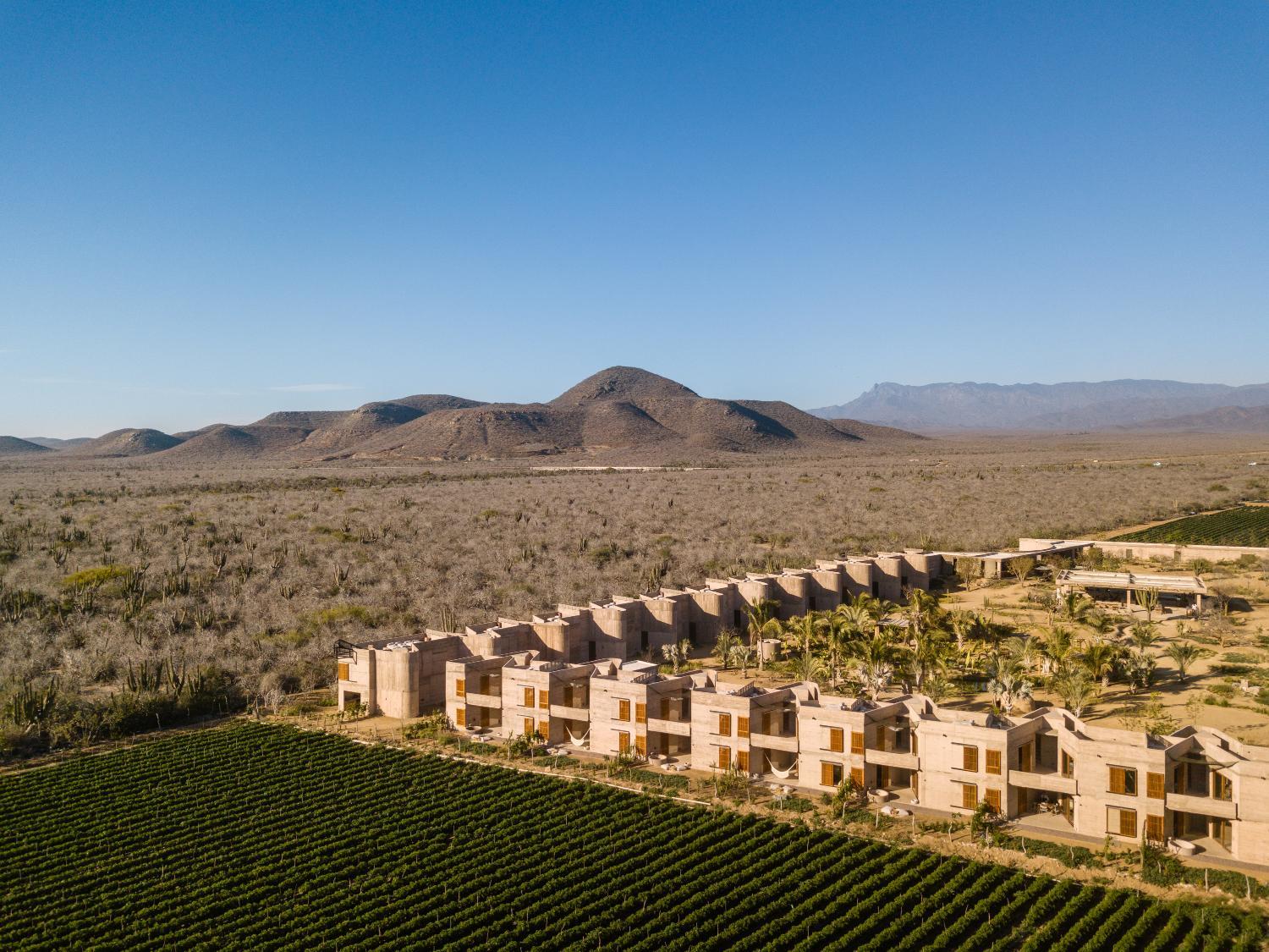 Hotel with winery - Paradero Todos Santos - Experience Inclusive