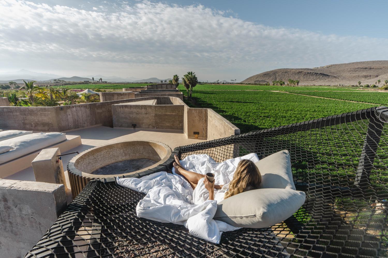 Winery Hotel - Paradero Todos Santos - Experience Inclusive4