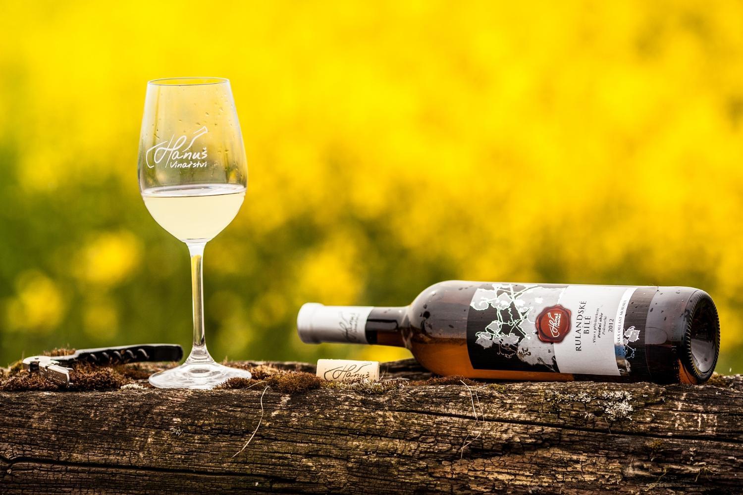 Hotel with winery - Penzion - Vinařství Hanuš