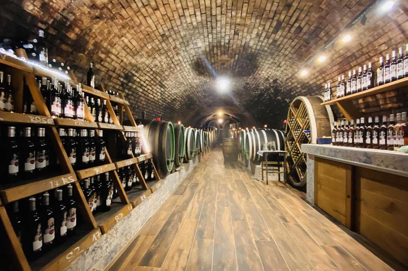 Winery Hotel - Penzion - Vinařství Hanuš2