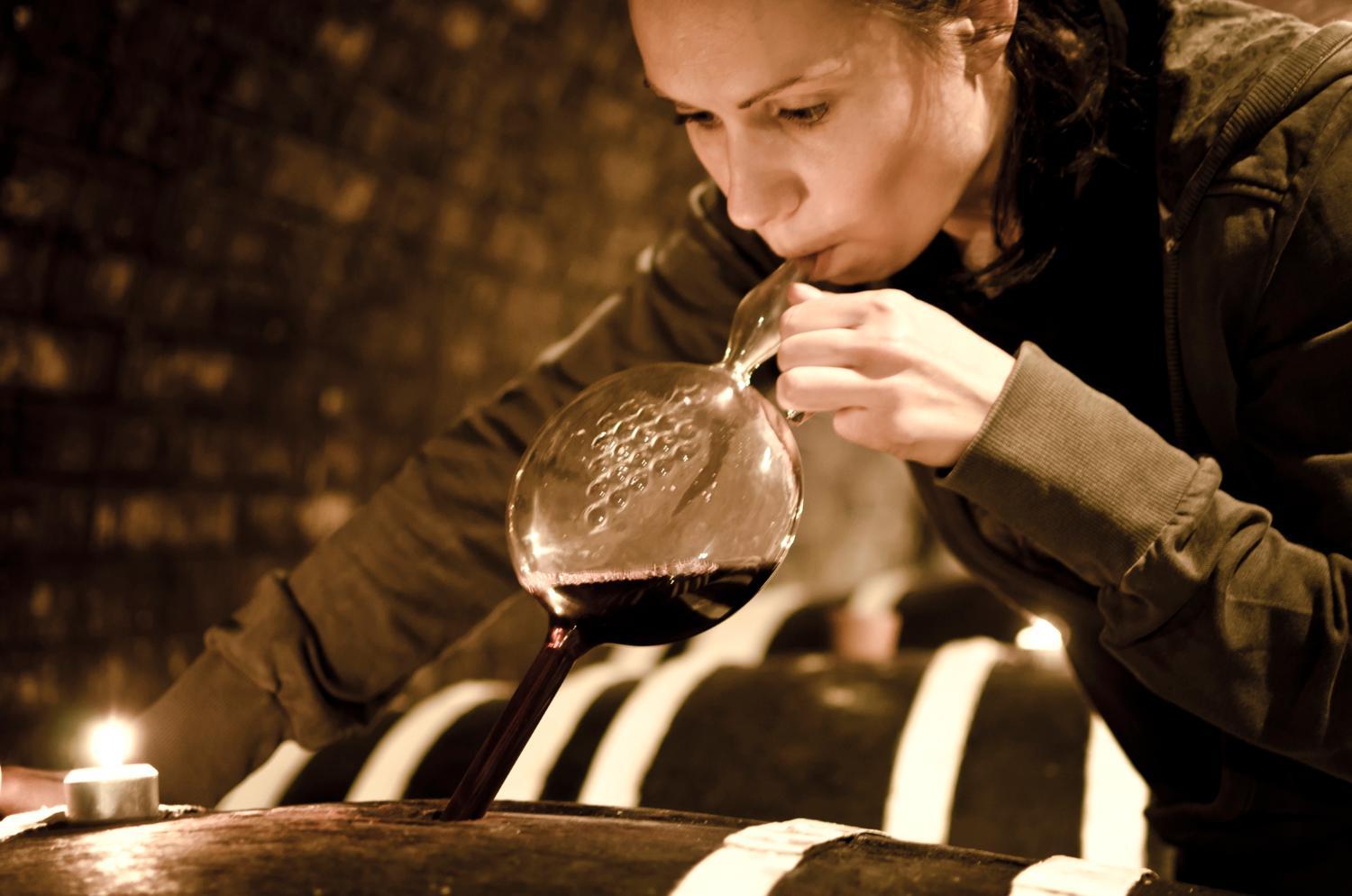 Winery Hotel - Penzion - Vinařství Hanuš3