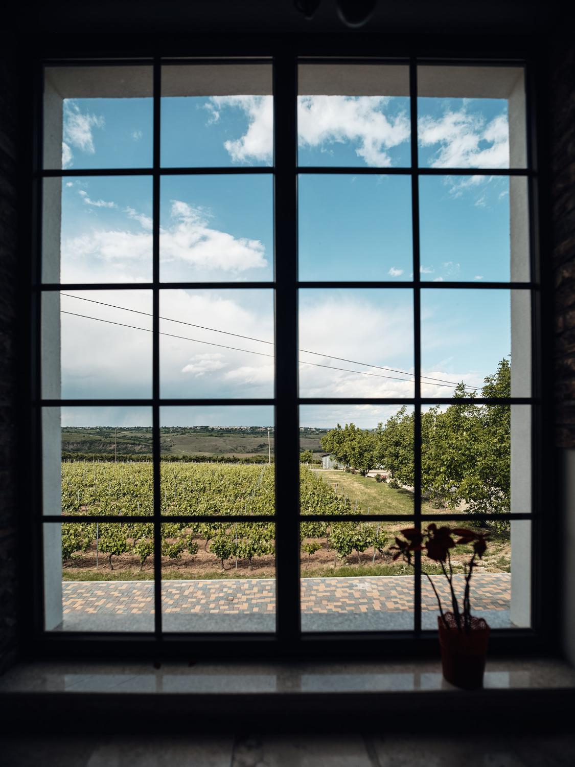 Pescobar Winery and Resort photo 2