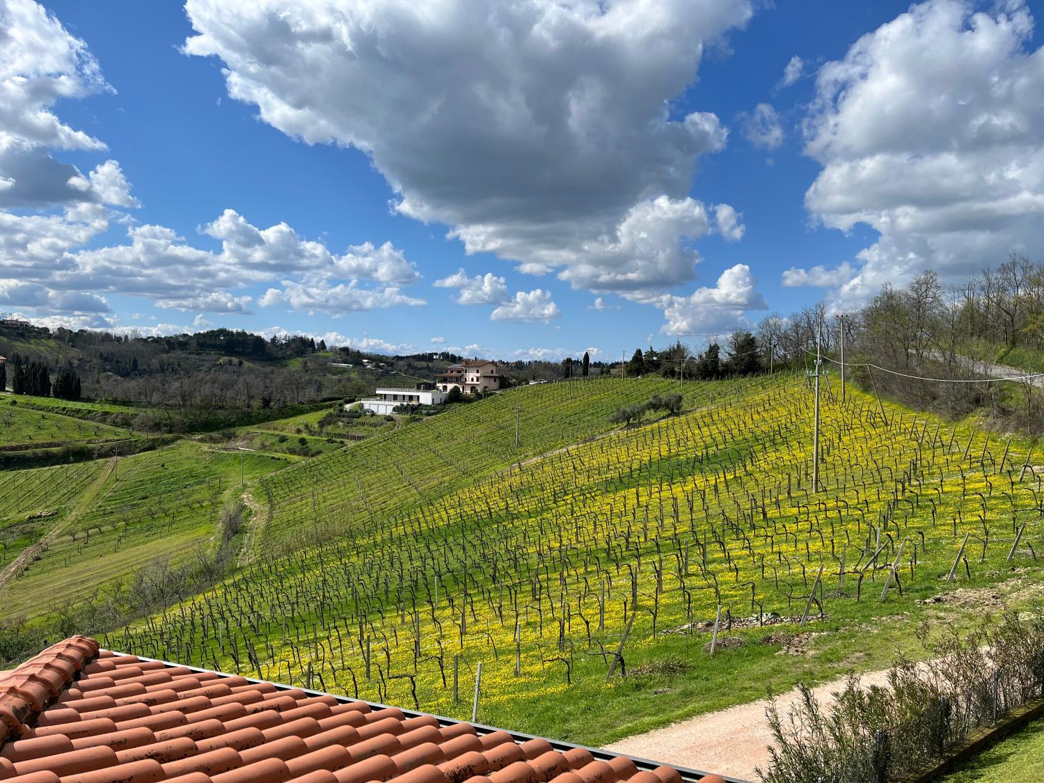 Podere Baratta agriturismo e cantina photo 3