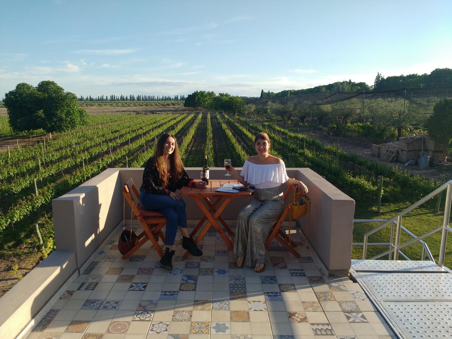 Winery Hotel - Posada Cavieres Wine Farm3