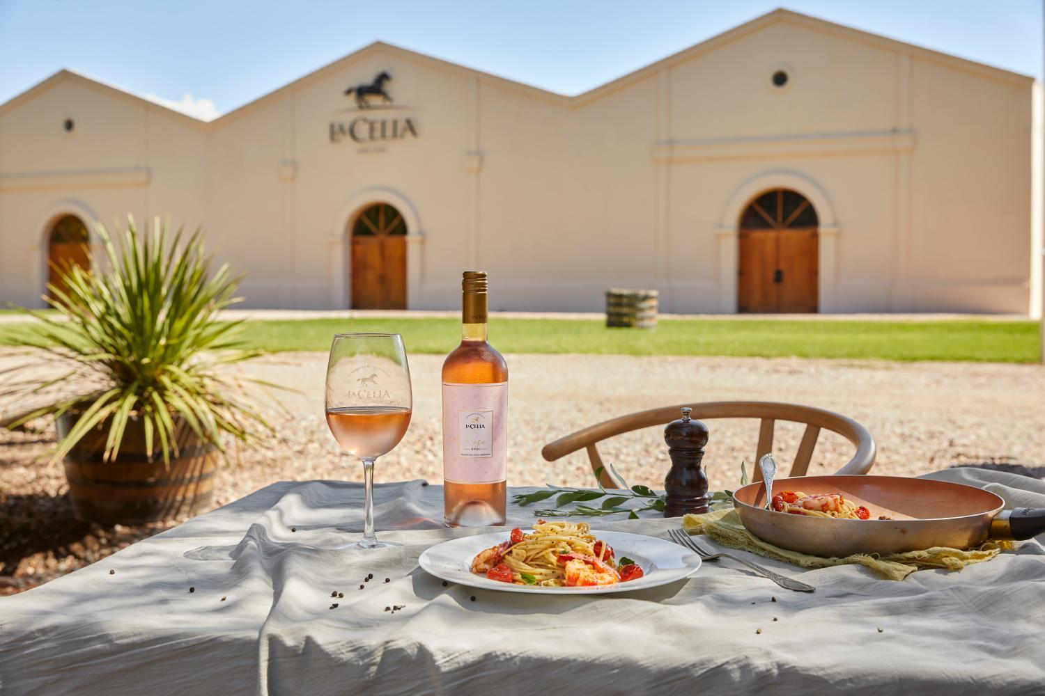 Hotel with winery - Posada La Celia
