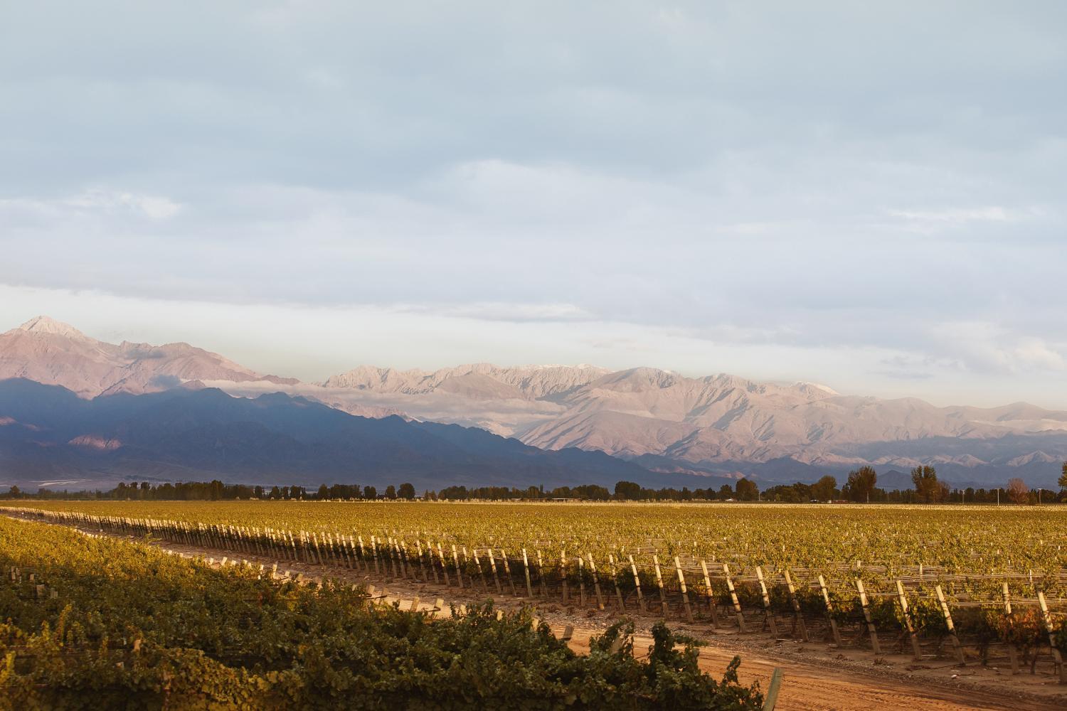 Winery Hotel - Posada La Celia3