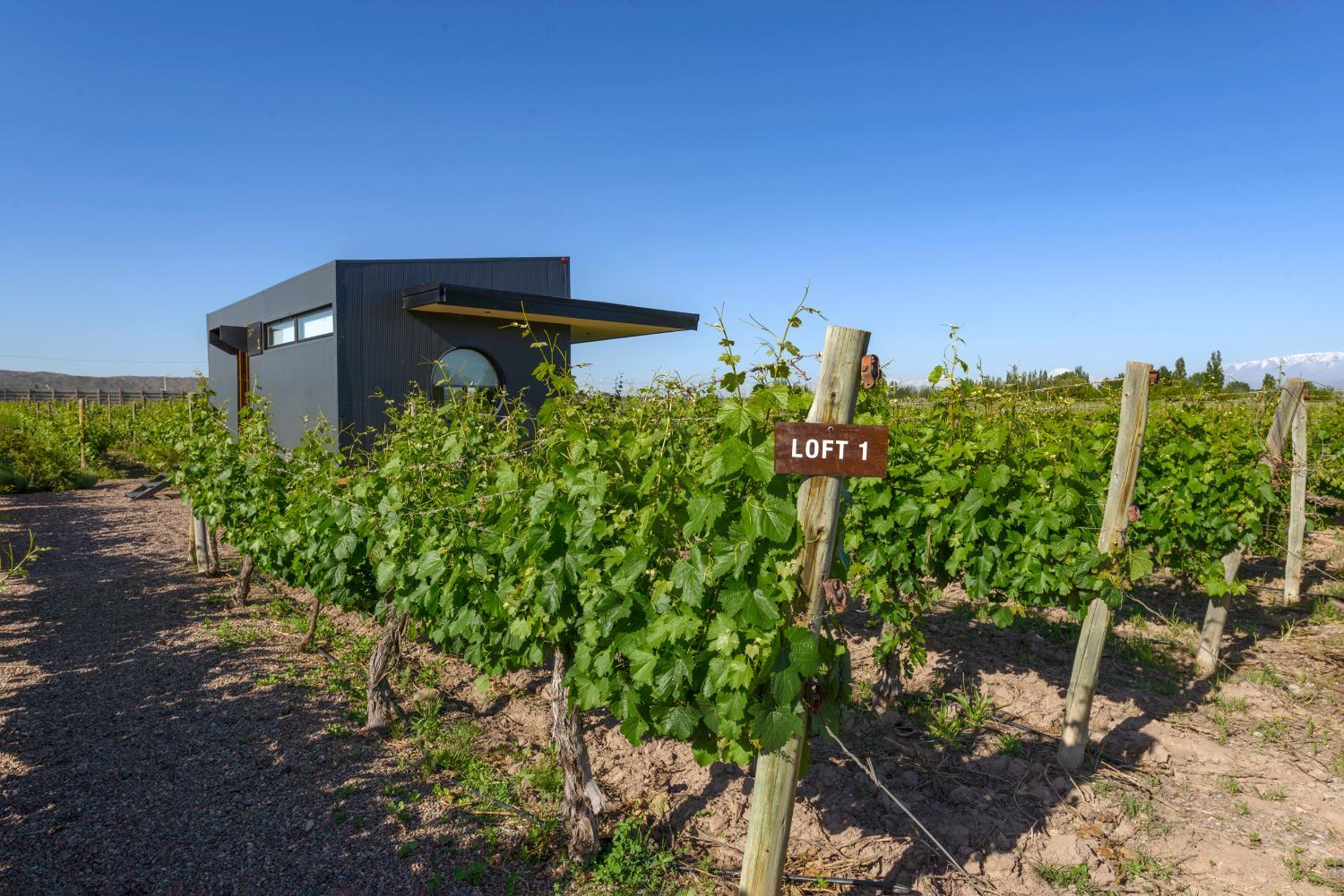 Winery Hotel - Posada Mawida3