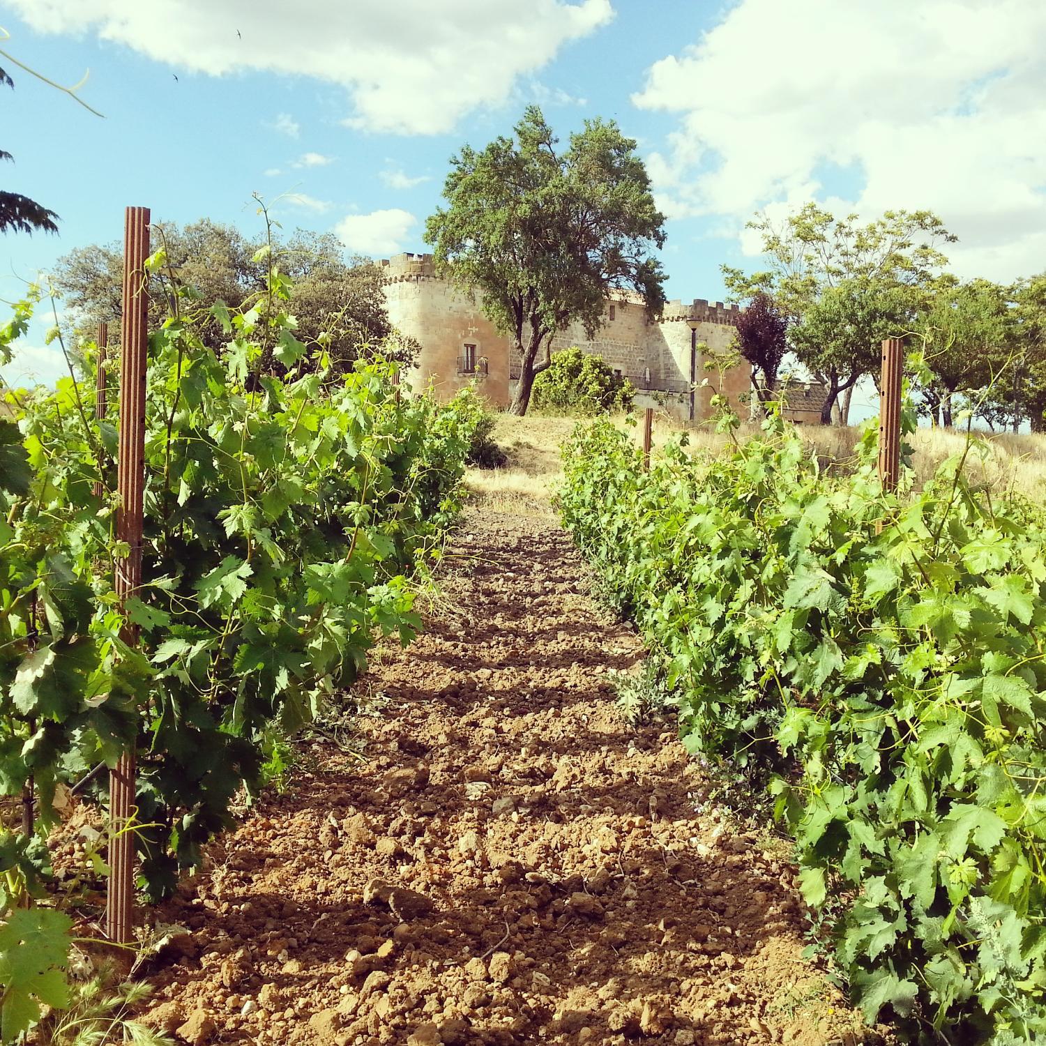 Winery Hotel - Posada Real Castillo del Buen Amor3