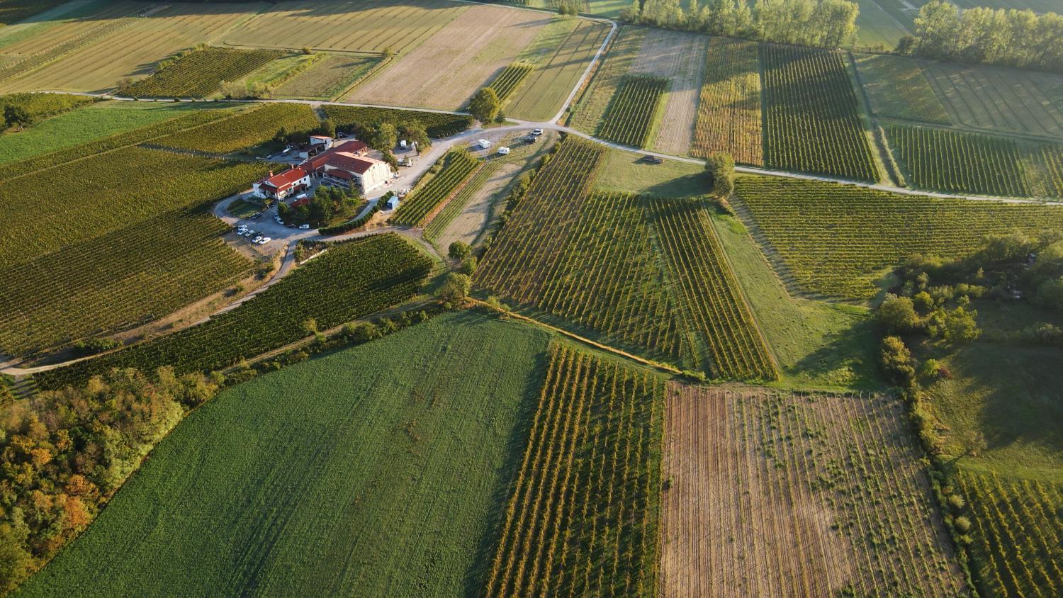 Posestvo Rouna - winery and apartments photo 3