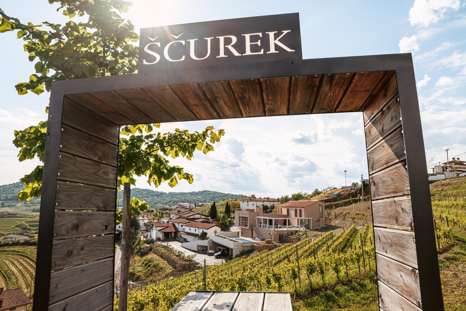 Hotel with winery - Posestvo Ščurek wine