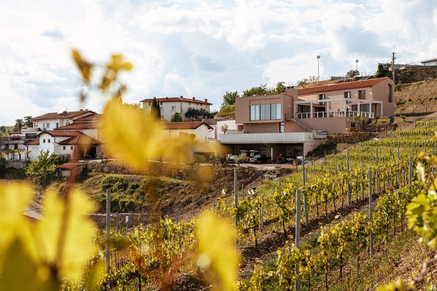 Winery Hotel - Posestvo Ščurek wine4