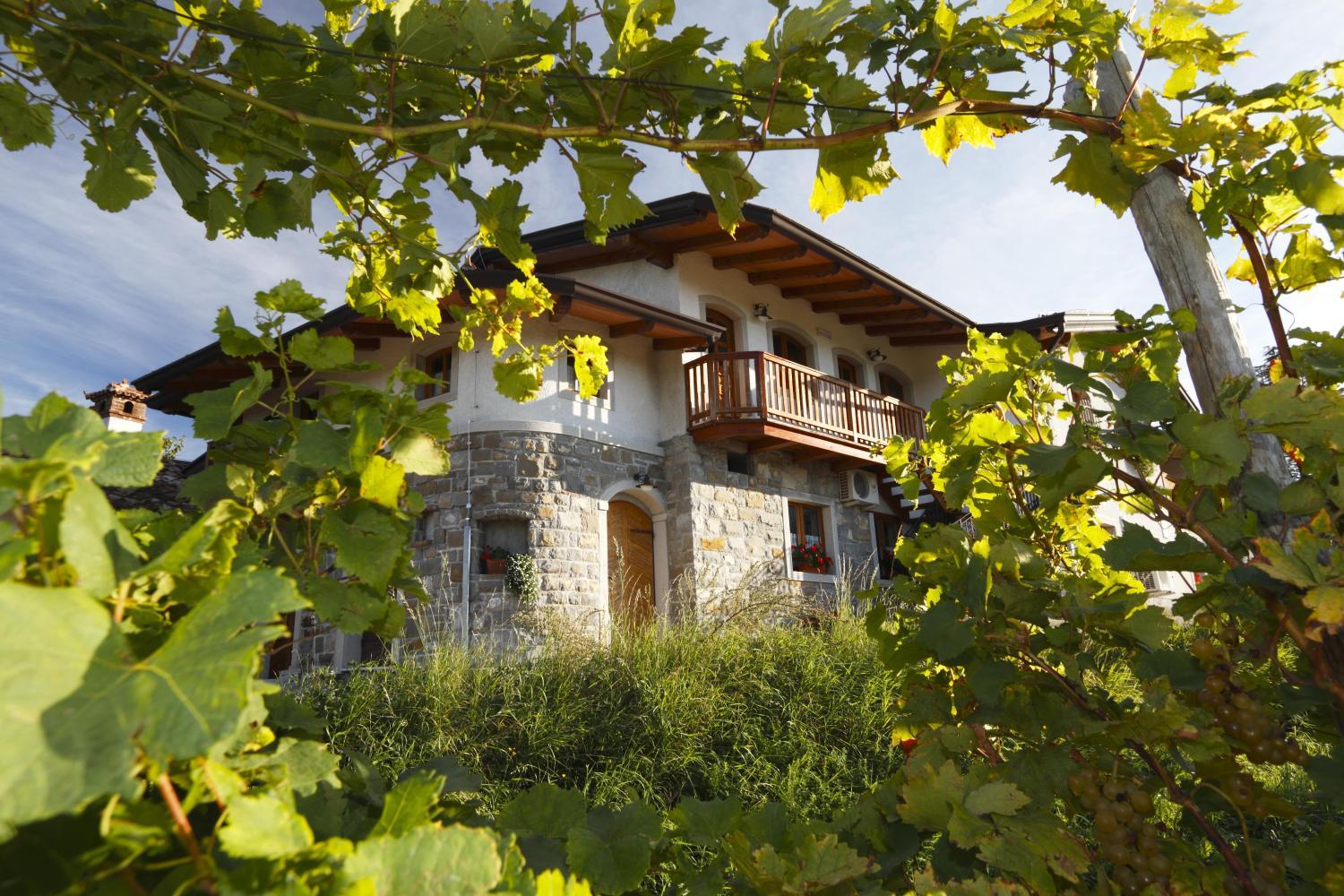 Hotel with winery - Pri Marjotu