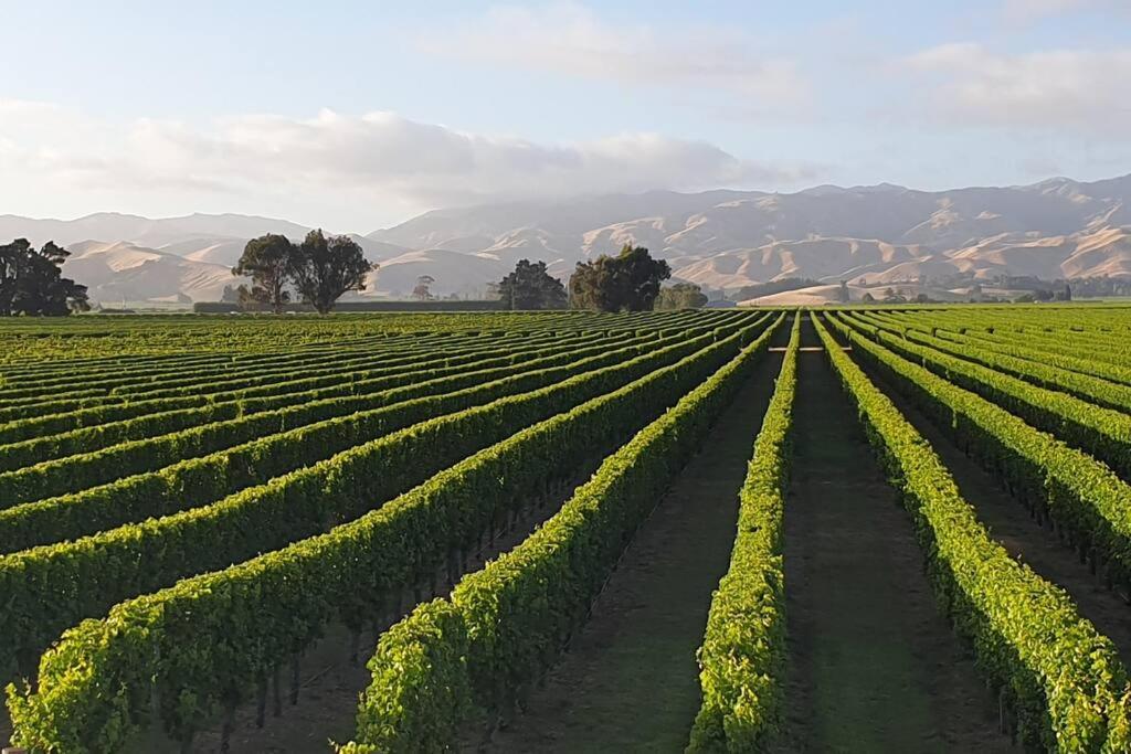 Quail Run Cottage with stunning vineyard views photo 4