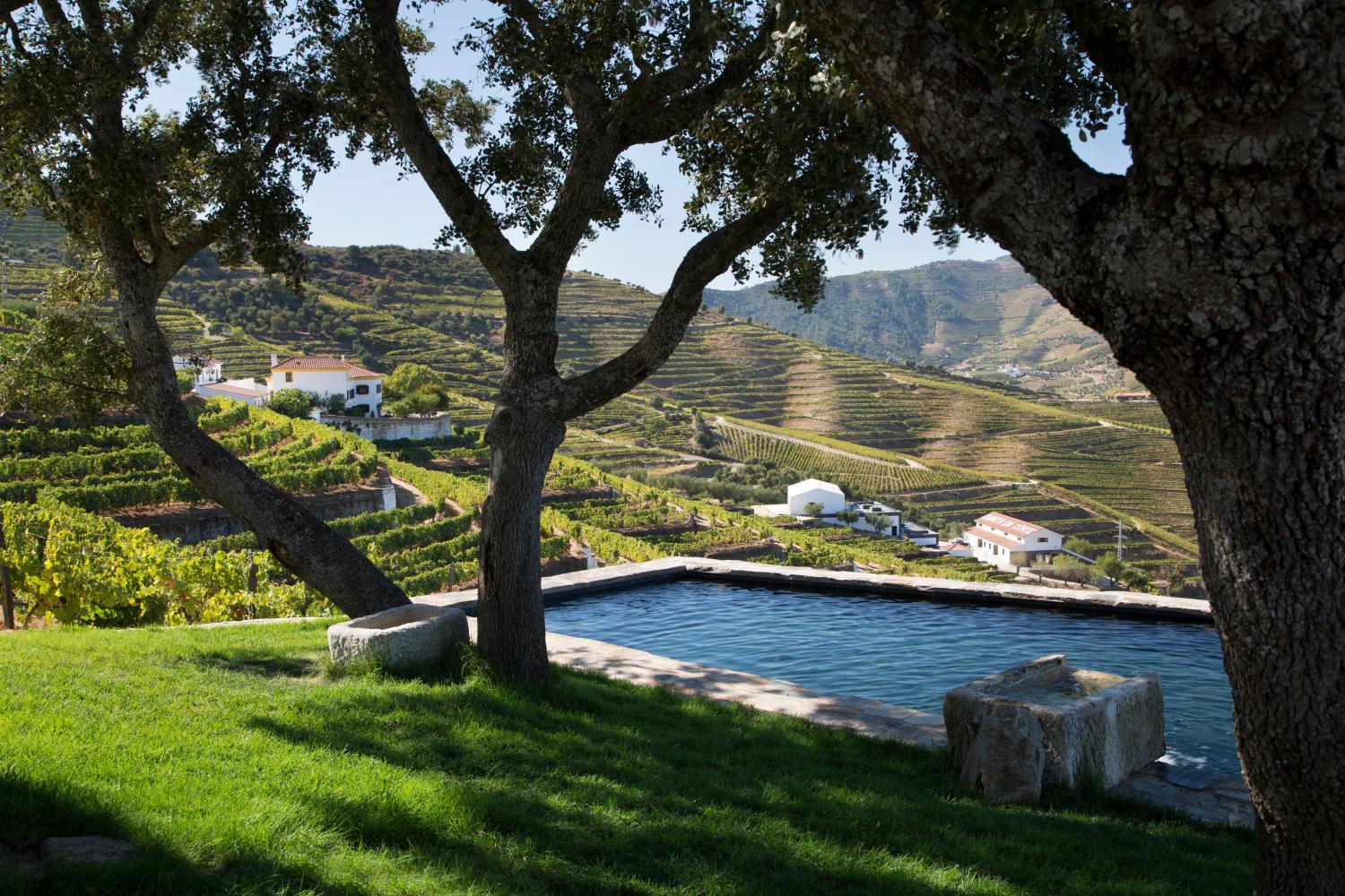 Hotel with winery - Quinta da Côrte