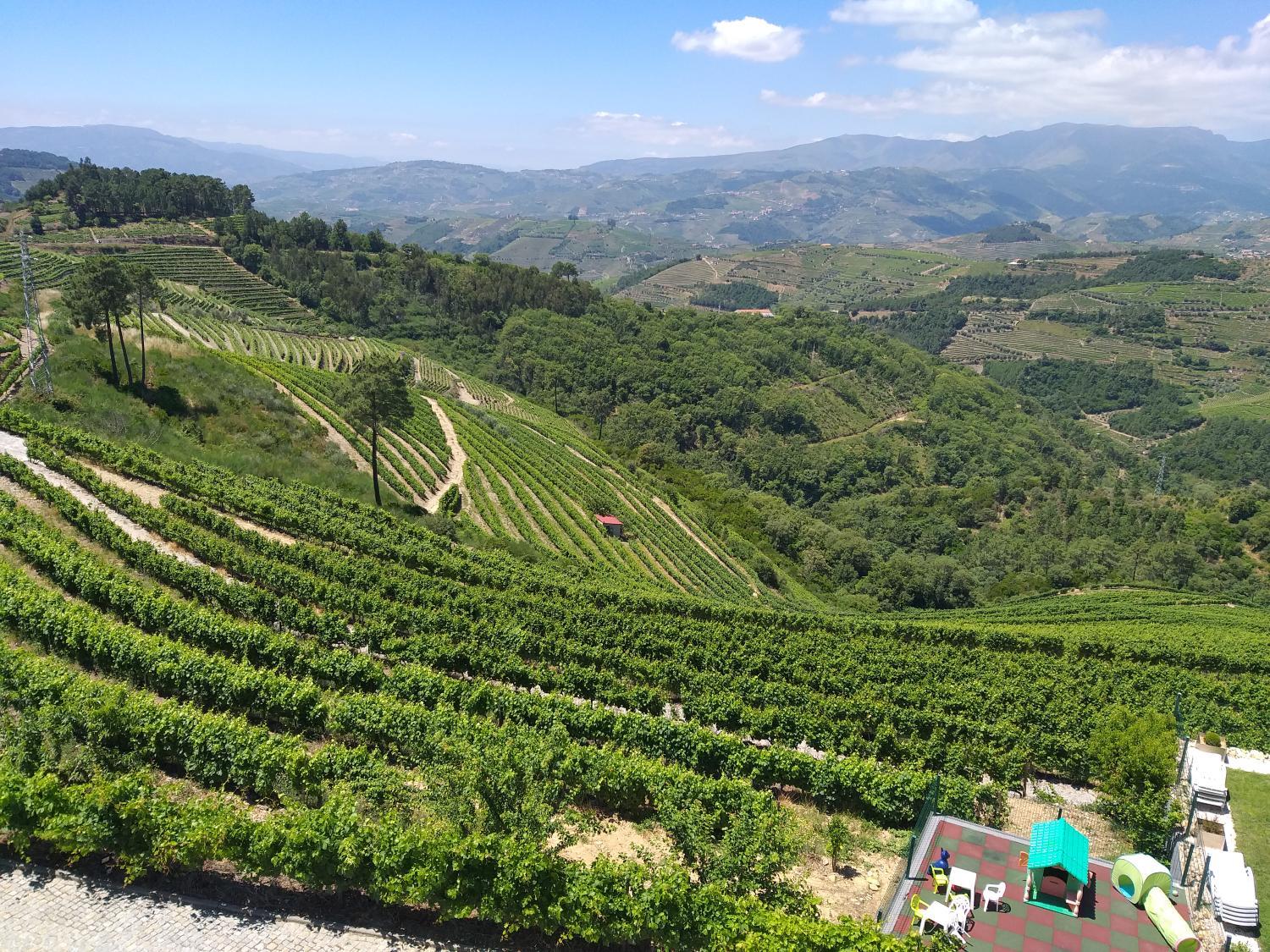 Winery Hotel - Quinta da Corujeira2