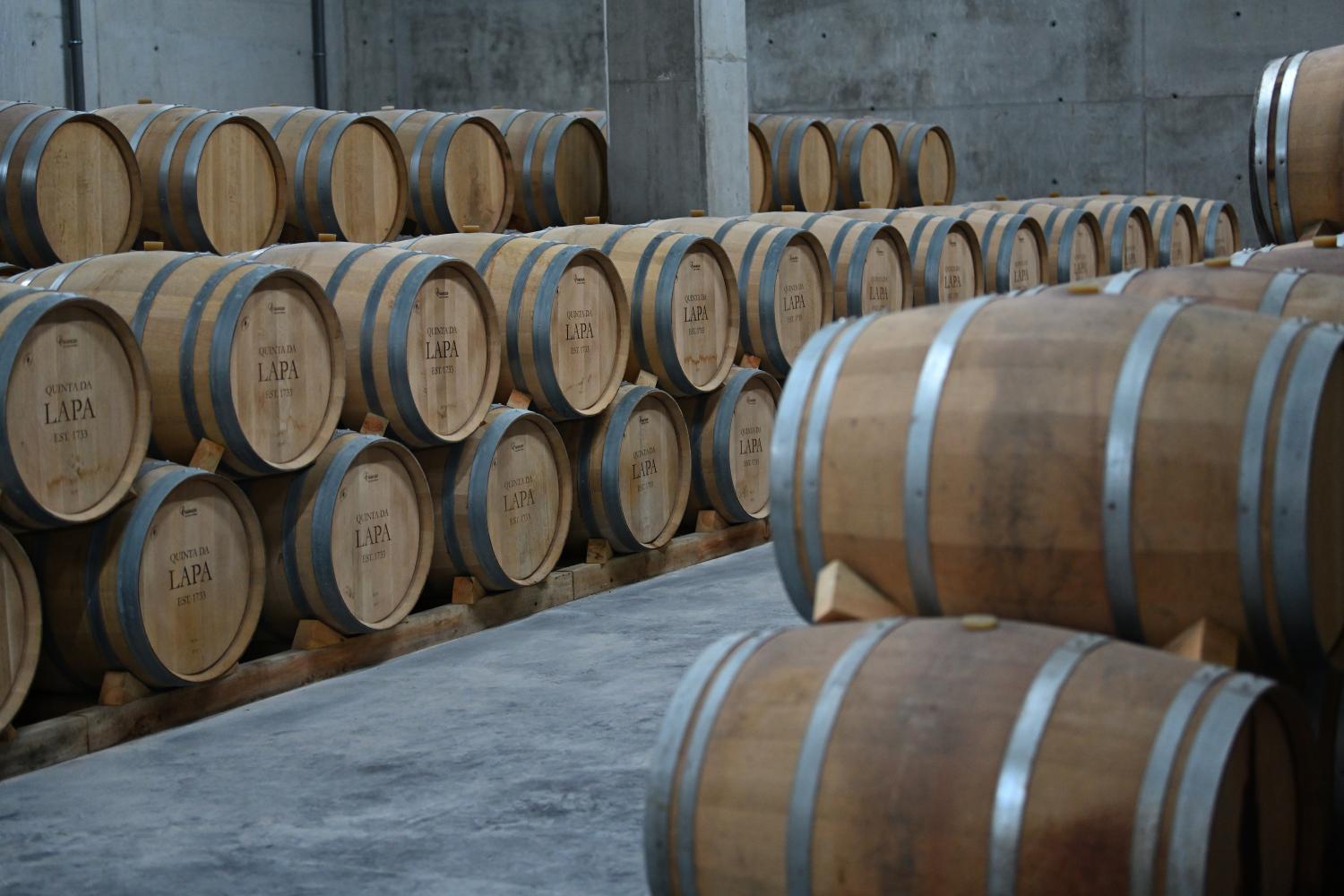 Winery Hotel - Quinta da Lapa4