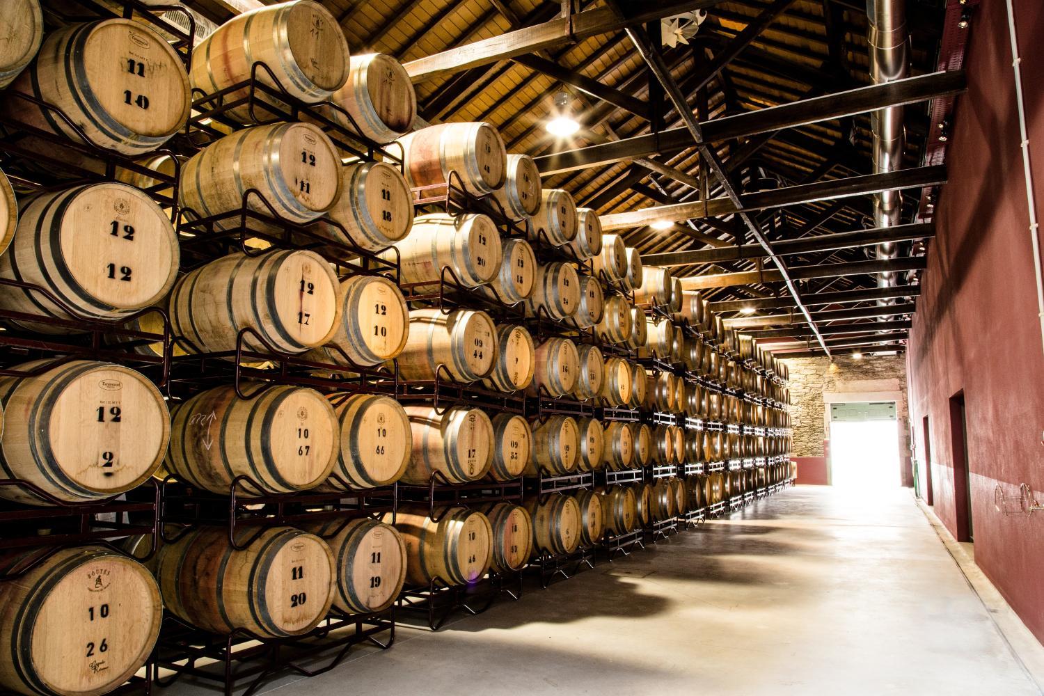 Winery Hotel - Quinta de la Rosa1