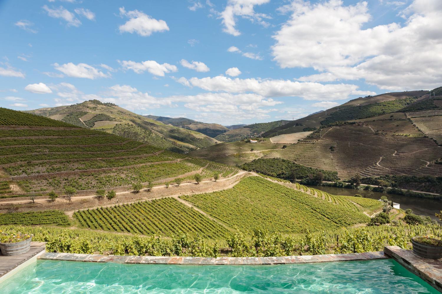 Hotel with winery - Quinta Nova Winery House - Relais & Châteaux