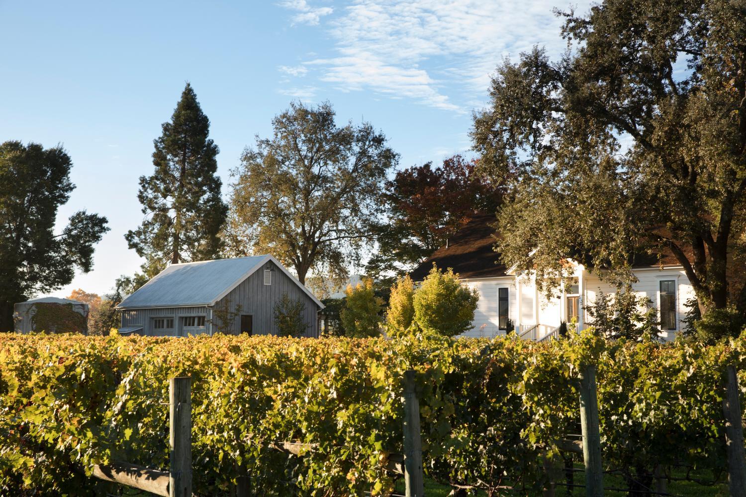 Hotel with winery - Rancho Caymus Inn