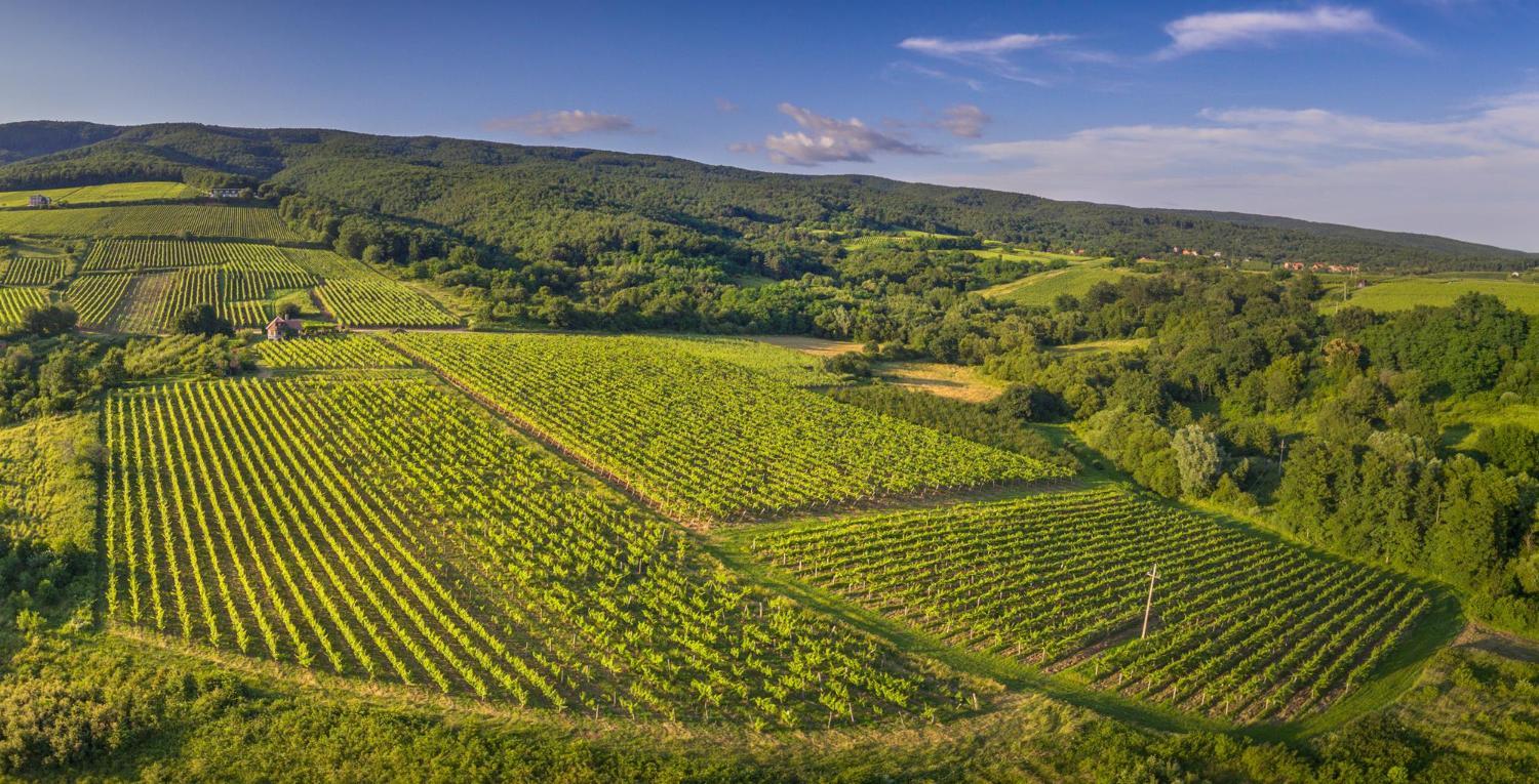 Robinson Vila Kitokret photo 2