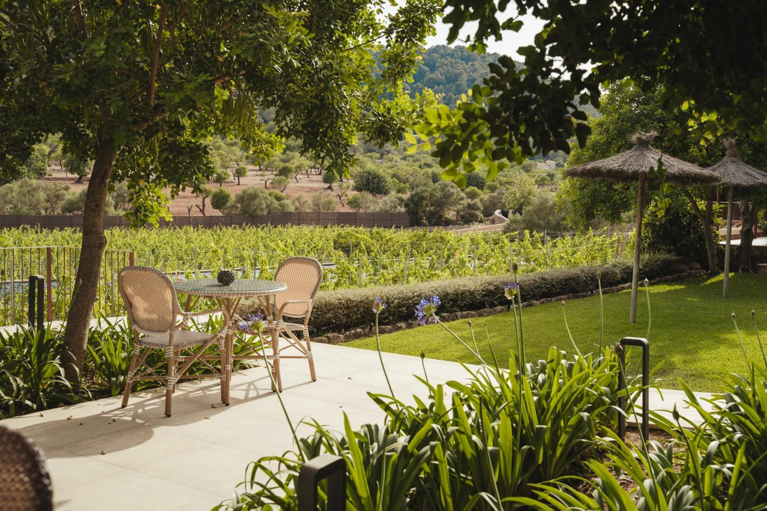 Rondaia, a Winery & Fincahotel-Agroturismo in Tramuntana photo 2