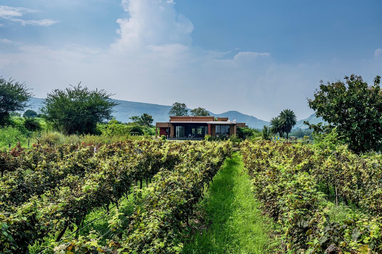 Hotel with winery - SaffronStays Rose Vineyard by the Lake