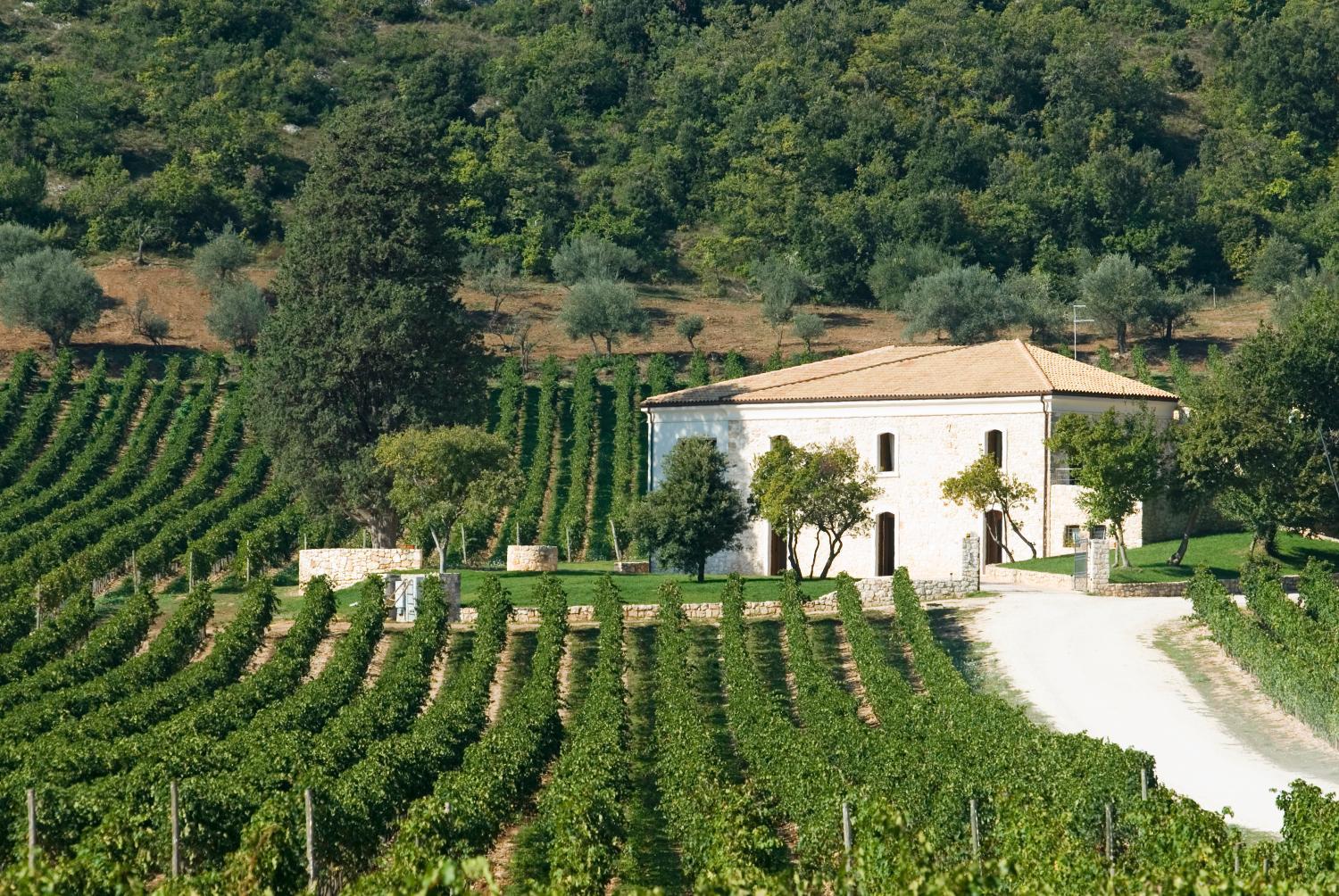 San Calisto camere con vigna photo 1