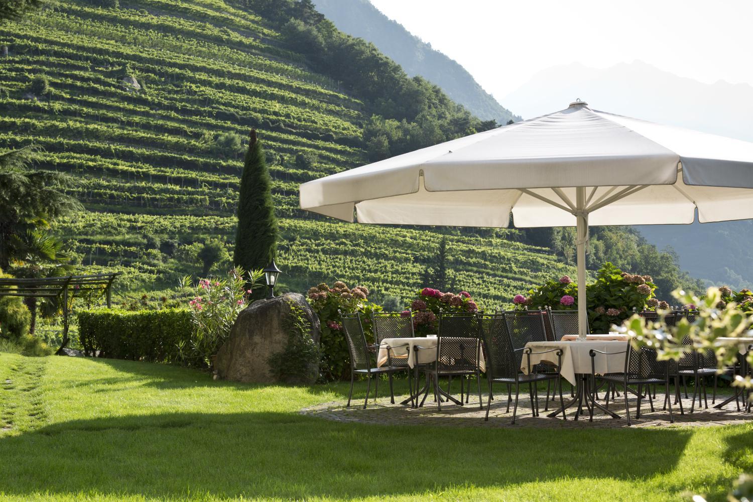 Winery Hotel - Schloss Plars wine & suites3