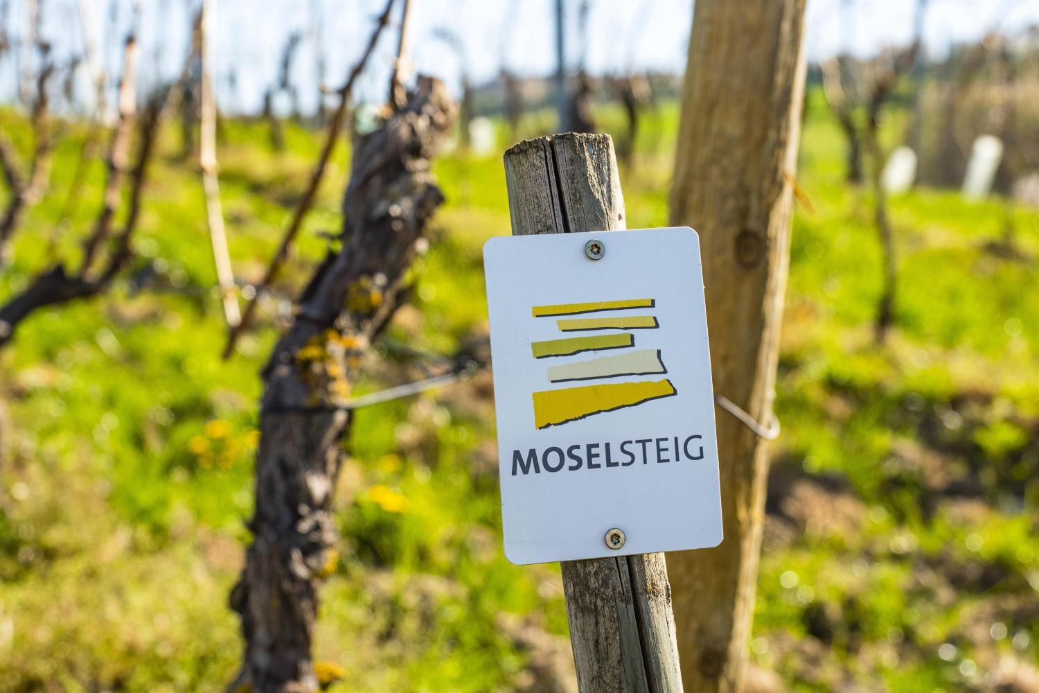 Schloss Thorn photo 3