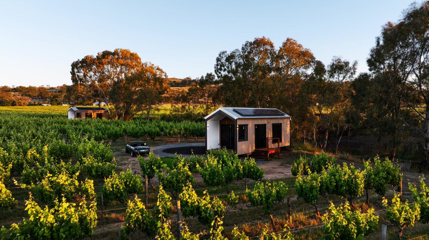 Seabrook Vineyard Retreat photo 1