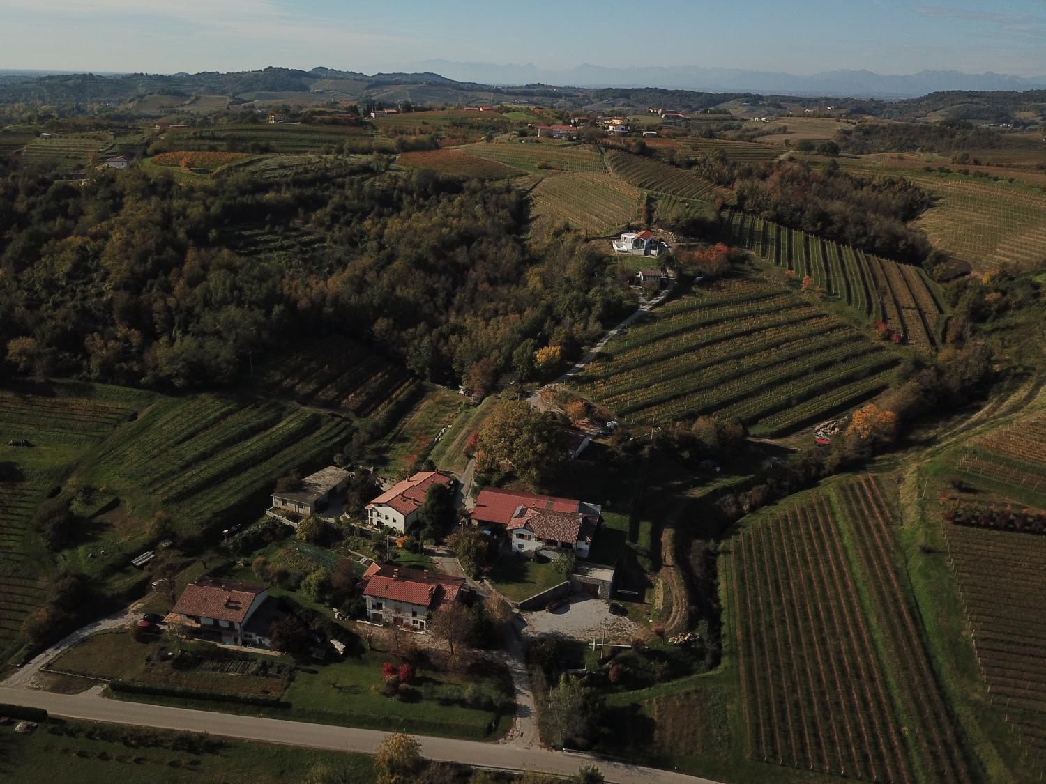 Šibav Wine&Tourism B&B photo 1