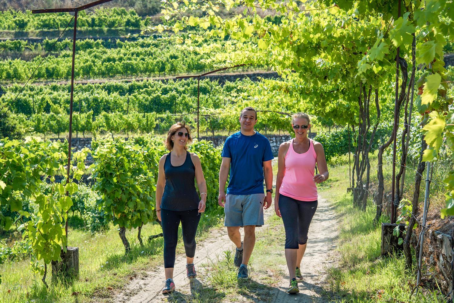 Winery Hotel - Six Senses Douro Valley2