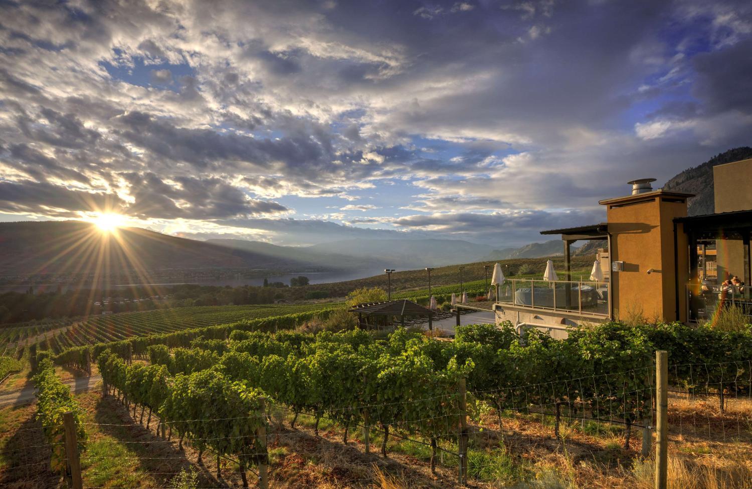 Hotel with winery - Spirit Ridge, in The Unbound Collection by Hyatt
