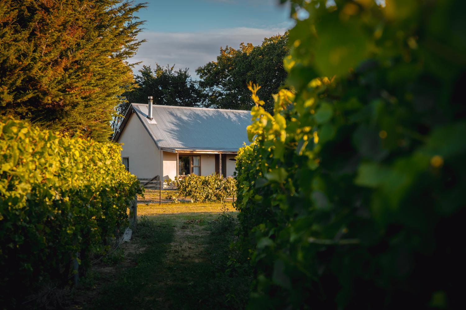 St Leonards Vineyard Cottages