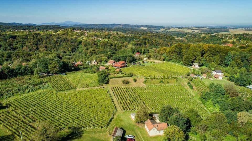 STRUČIĆ WINERY ESTATE photo 3