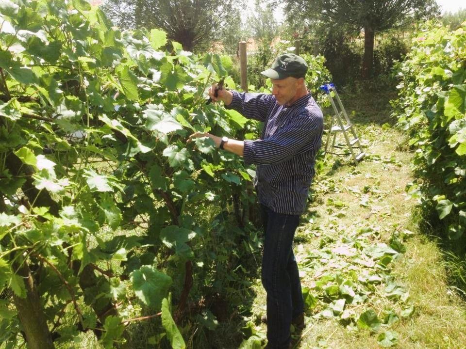 Winery Hotel - Sydkustens at Tullnäs Vingård4