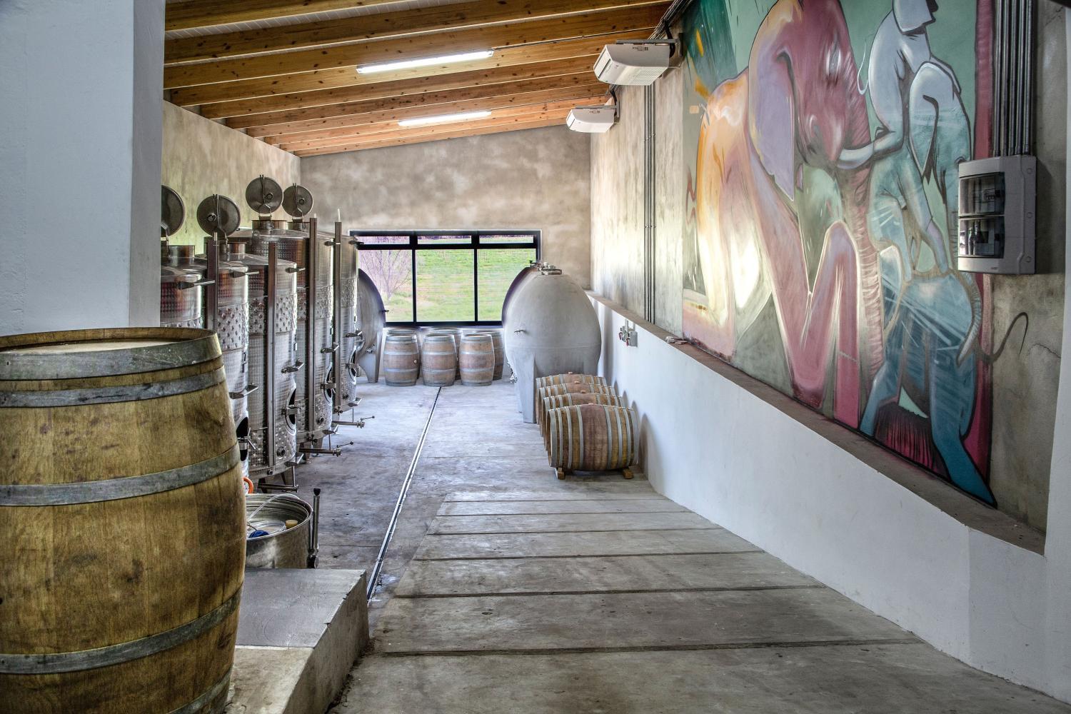 Tempel Wines photo 4