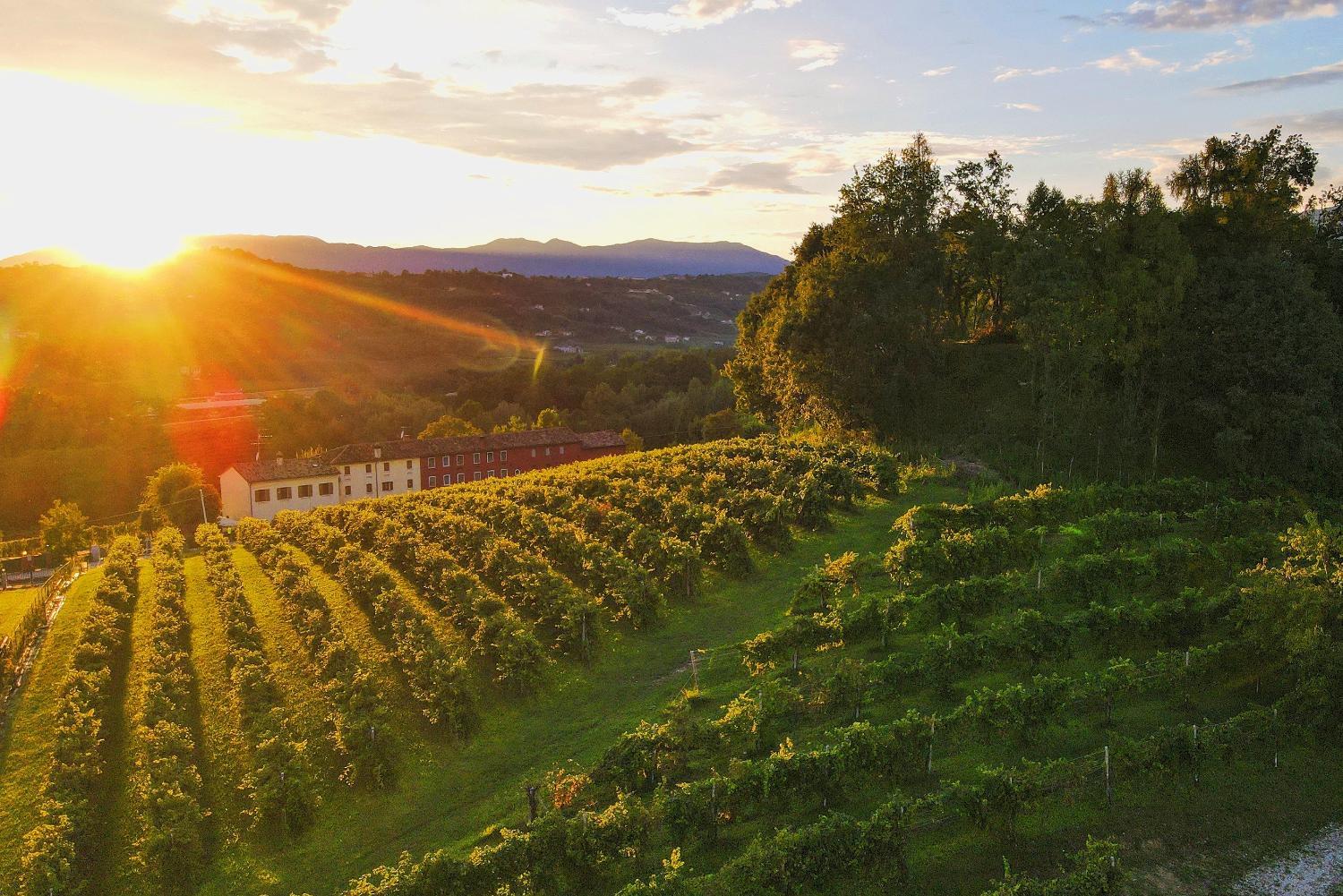 Tenuta Mani Sagge photo 1