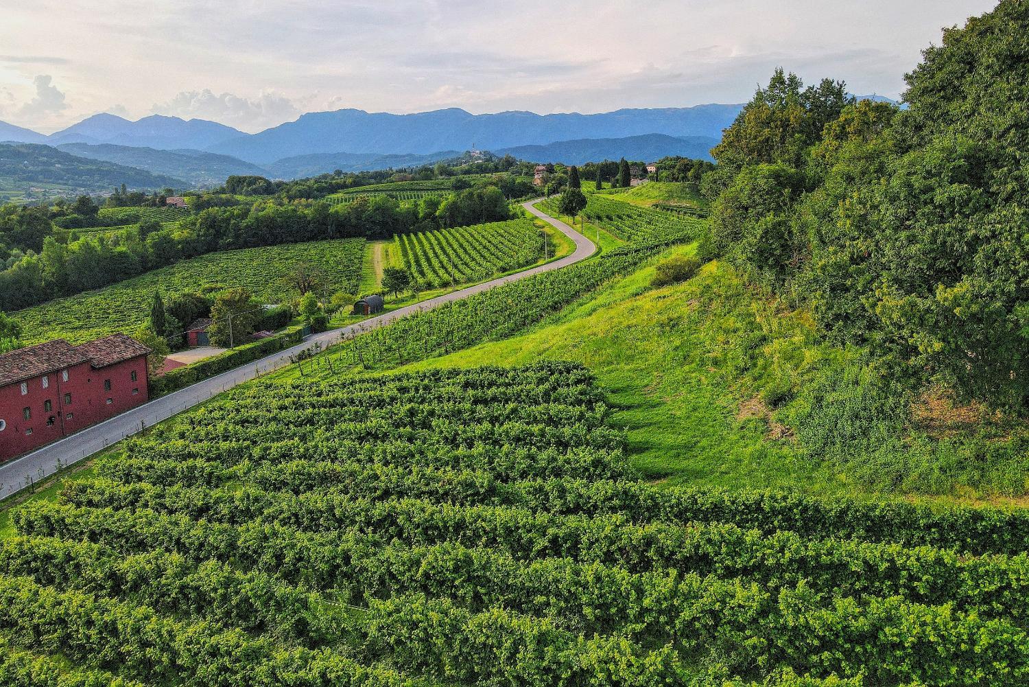 Tenuta Mani Sagge photo 4