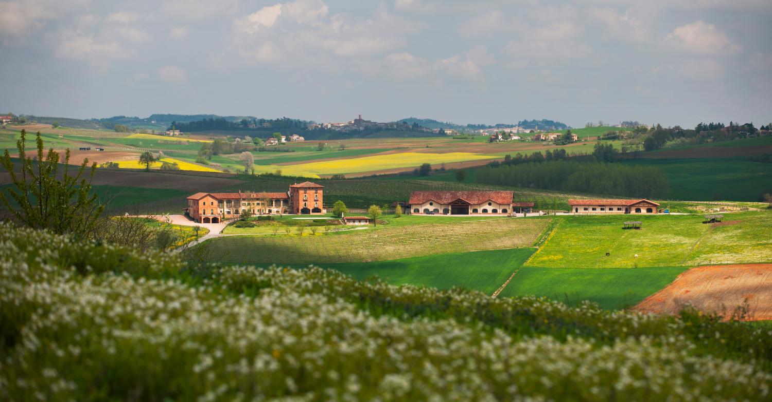 Hotel with winery - Tenuta Montemagno Relais & Wines