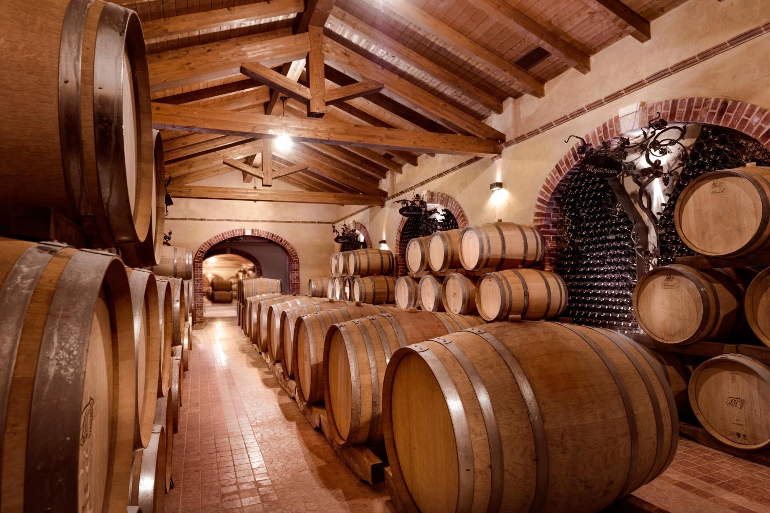 Winery Hotel - Tenuta Montemagno Relais & Wines4