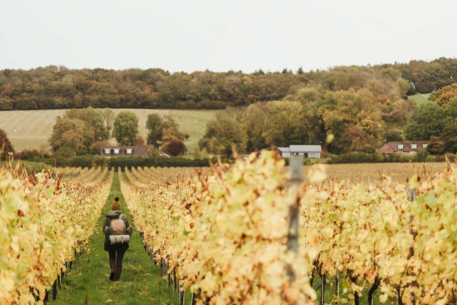 Winery Hotel - The Five Bells Inn4