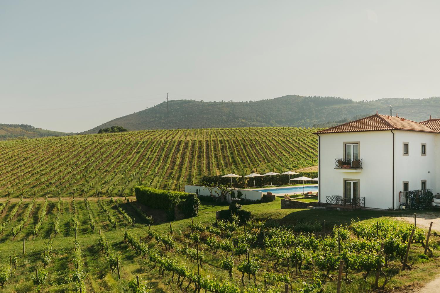 Winery Hotel - The Manor House Celeirós4