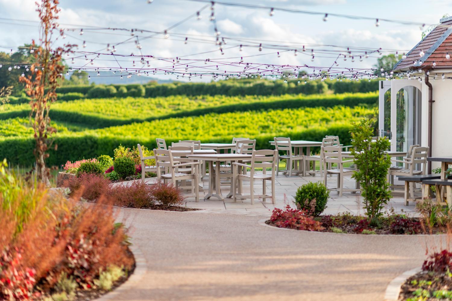 Winery Hotel - Three Choirs Vineyards4