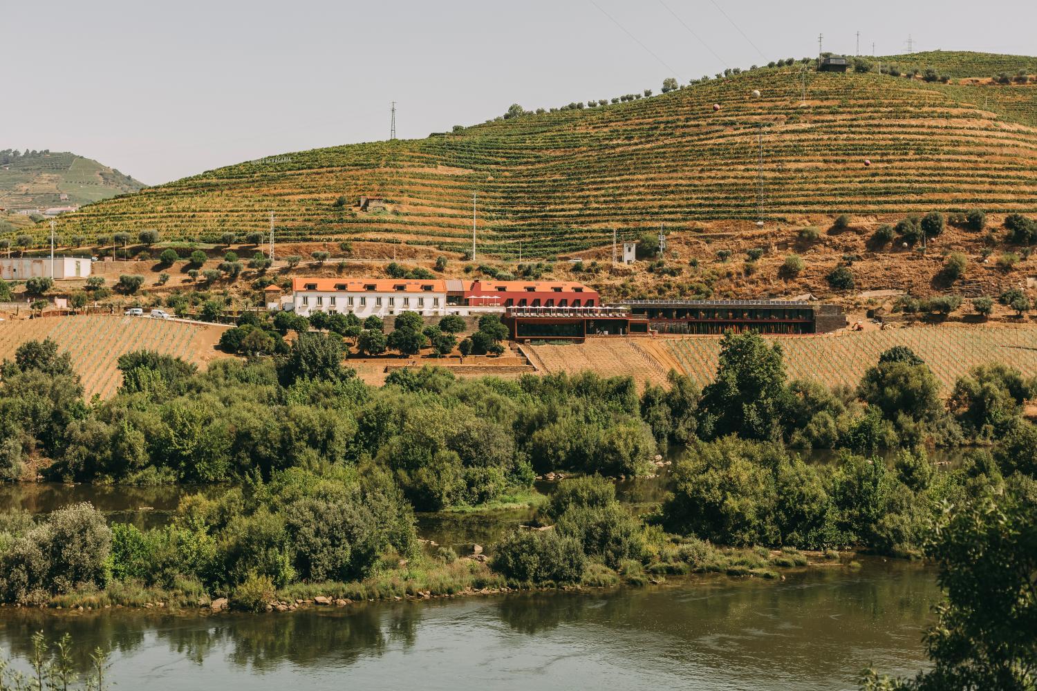 Winery Hotel - Torel Quinta da Vacaria - Douro Valley4