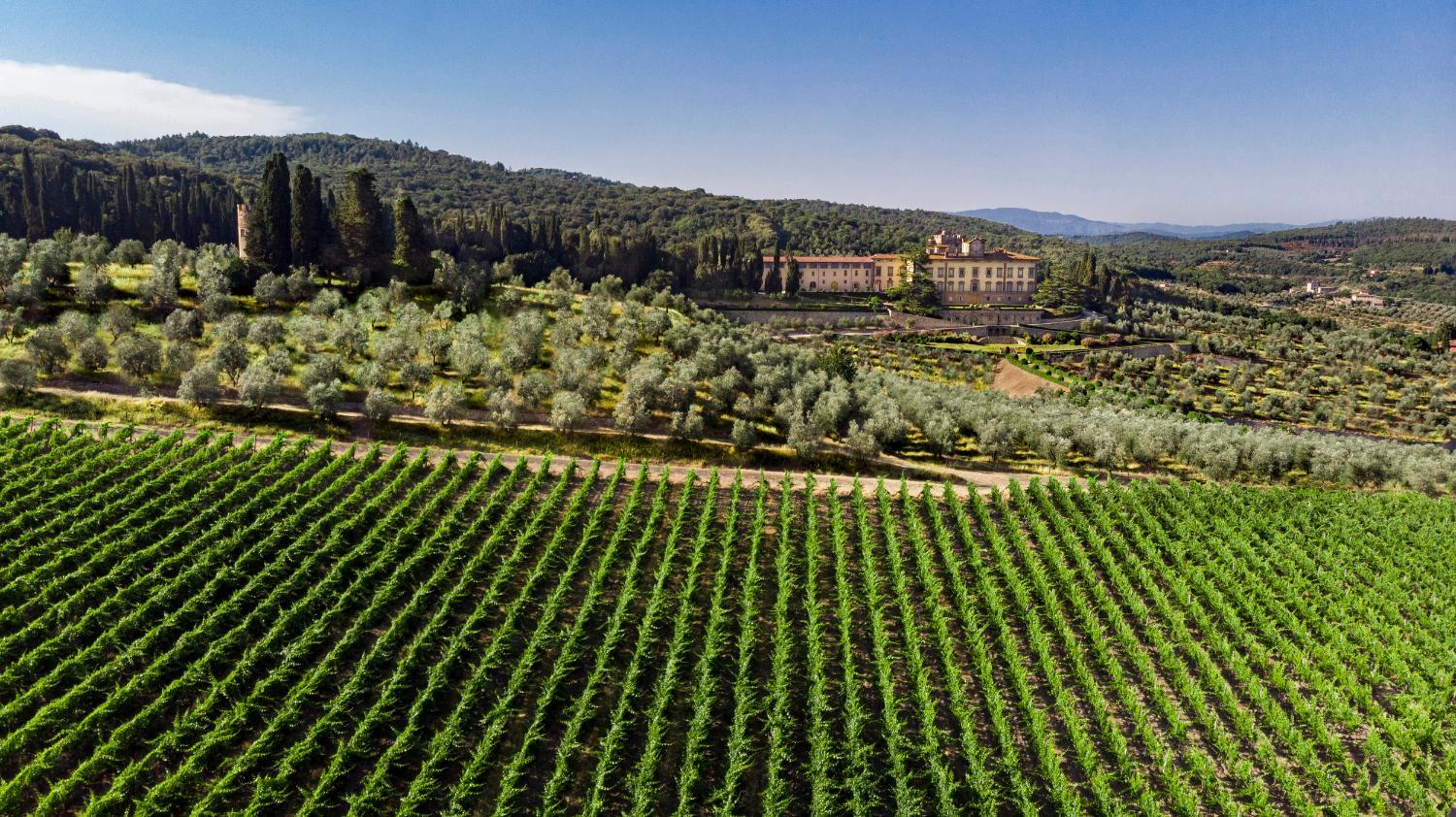 Hotel with winery - Torre a Cona Wine Estate