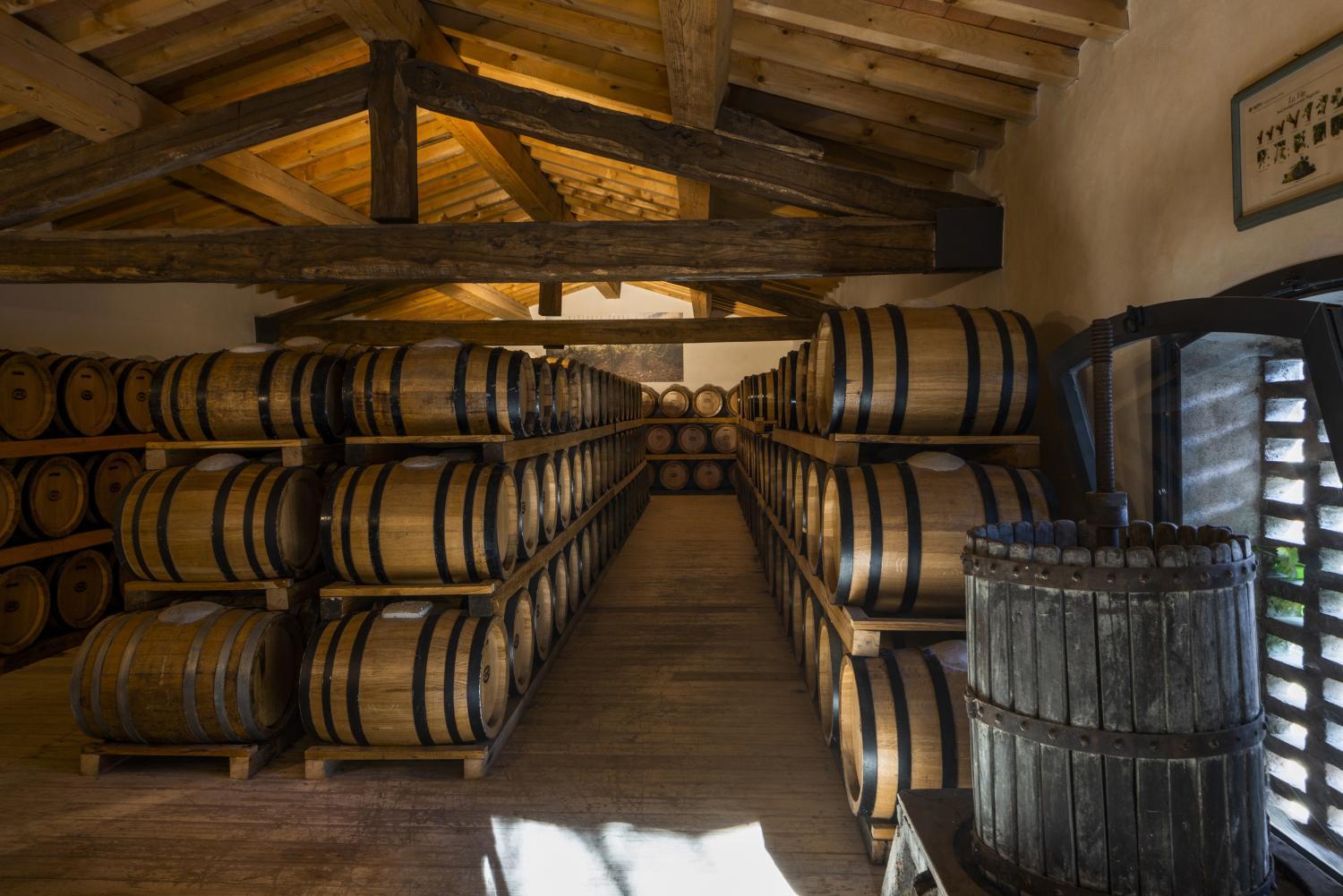 Winery Hotel - Torre a Cona Wine Estate4