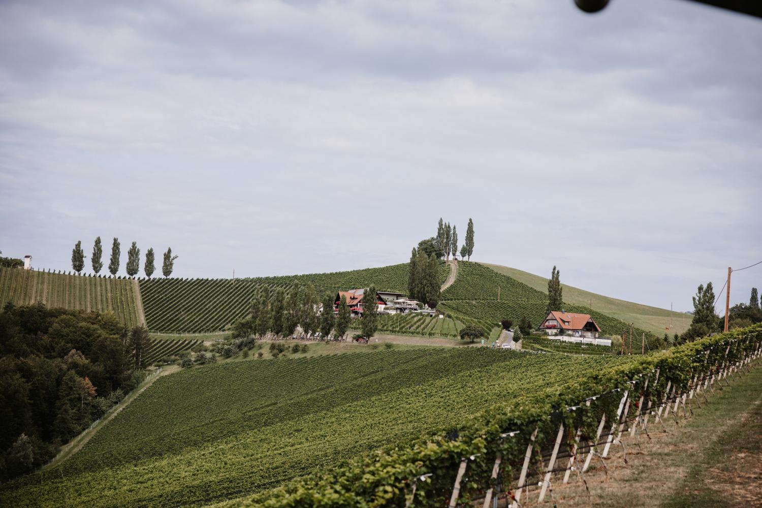 Tschermonegg "Wohnen beim Wein"