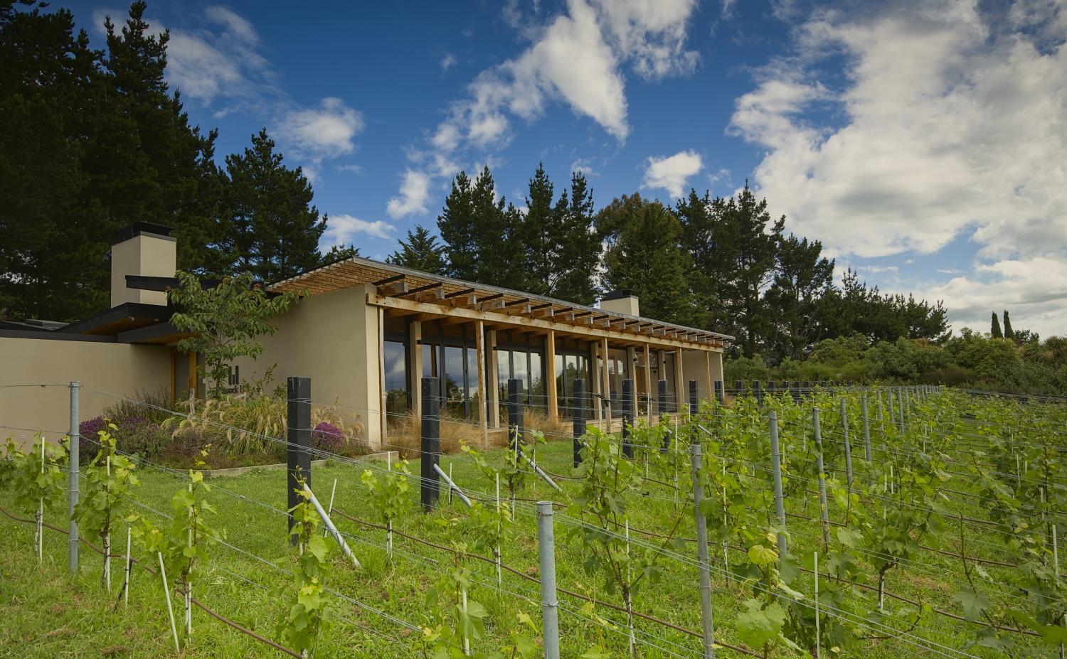 Tussock Hill Vineyard Retreats photo 4